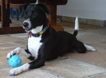 brincando com a bolinha