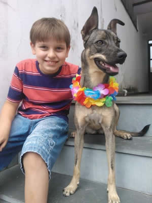 Meu amigo cão - Petshop